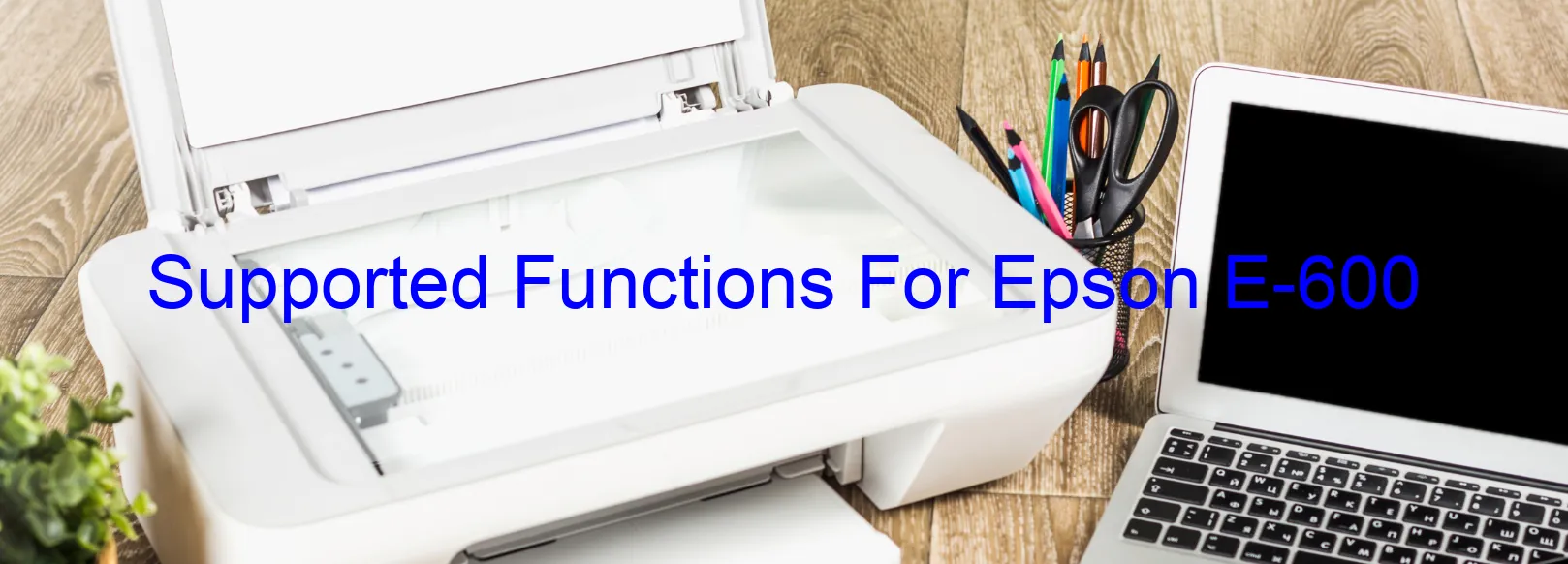 supported-functions-for-epson-e-600.webp