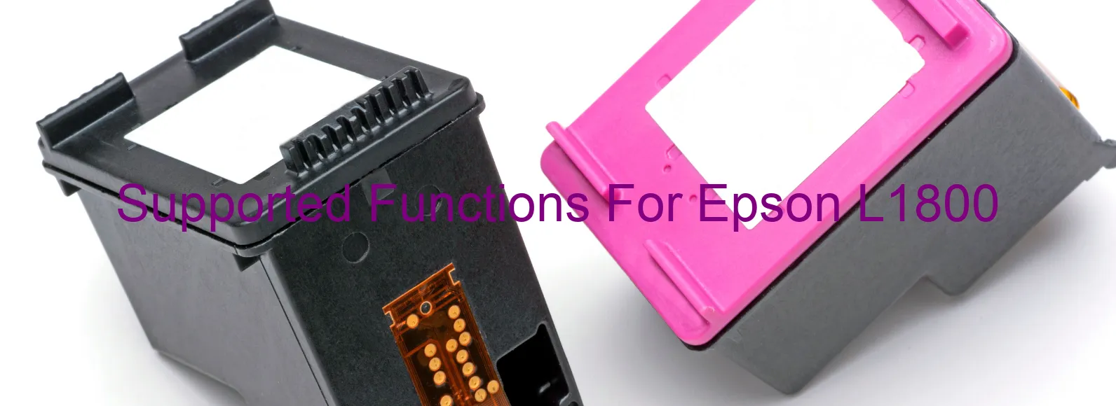 supported-functions-for-epson-l1800.webp