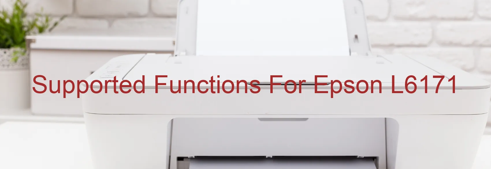 supported-functions-for-epson-l6171.webp