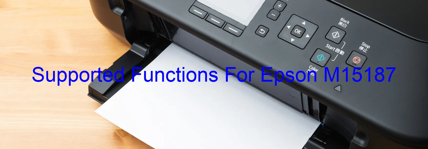 supported-functions-for-epson-m15187.webp