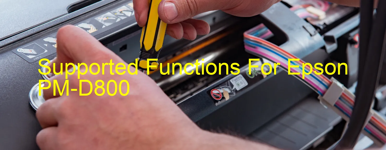 supported-functions-for-epson-pm-d800.webp