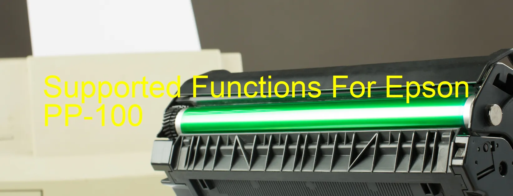 Epson PP-100 supported Functions