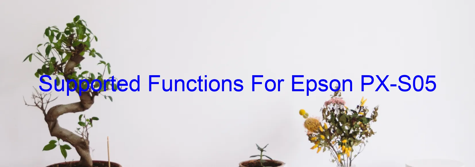 supported-functions-for-epson-px-s05.webp