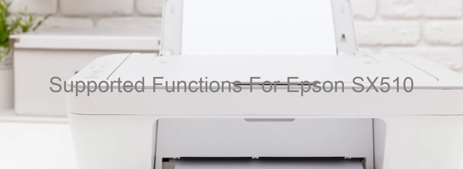 supported-functions-for-epson-sx510.webp