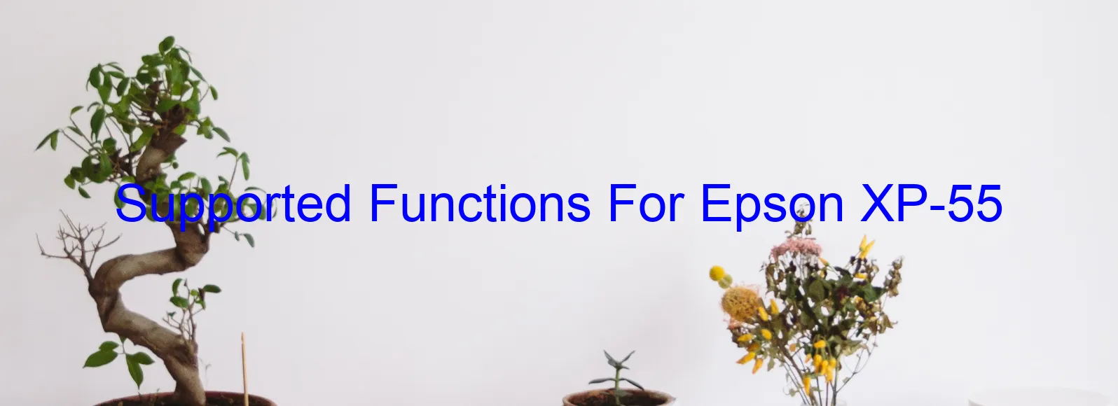 supported-functions-for-epson-xp-55.webp