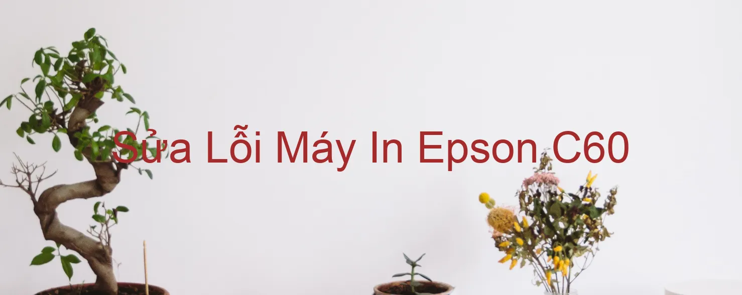 Sửa Lỗi Máy In Epson C60