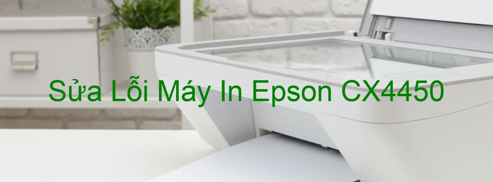 Sửa Lỗi Máy In Epson CX4450