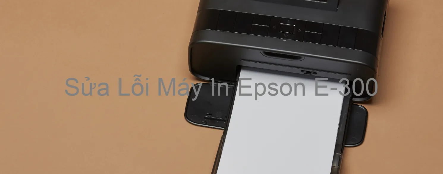 Sửa Lỗi Máy In Epson E-300