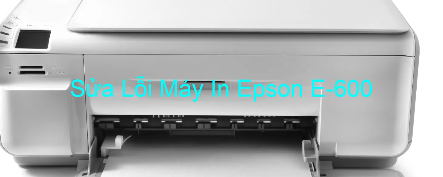 Sửa Lỗi Máy In Epson E-600