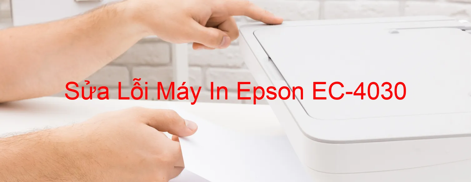 Sửa Lỗi Máy In Epson EC-4030