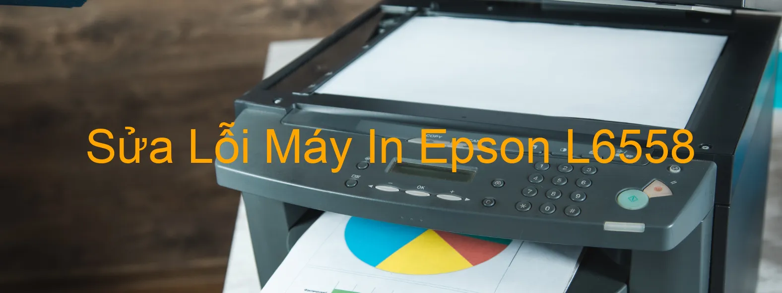 Sửa Lỗi Máy In Epson L6558