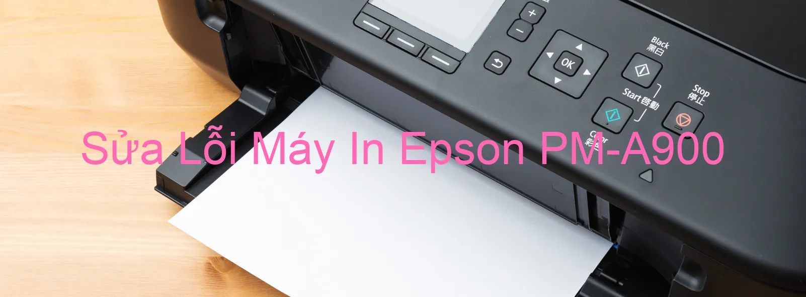 Sửa Lỗi Máy In Epson PM-A900