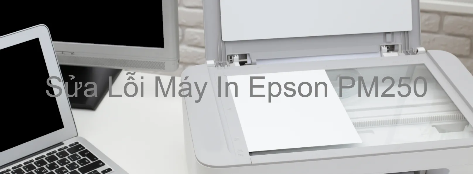 Sửa Lỗi Máy In Epson PM250