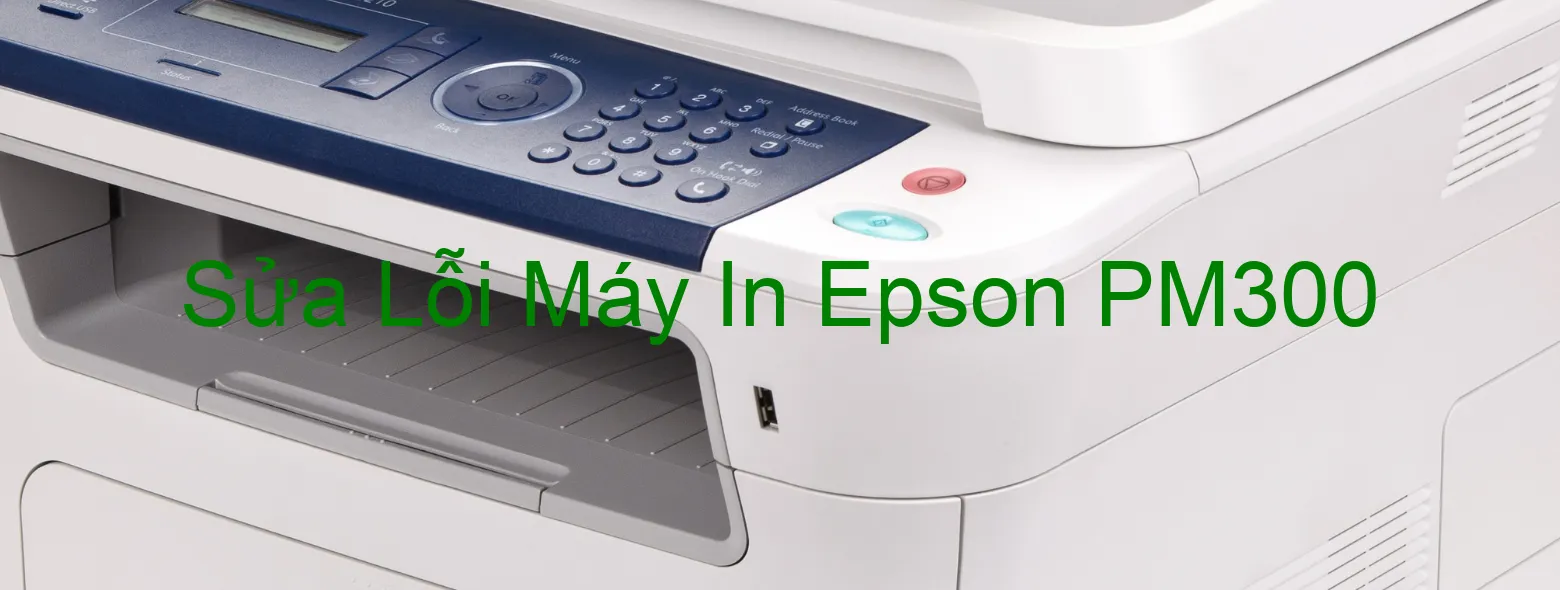 Sửa Lỗi Máy In Epson PM300