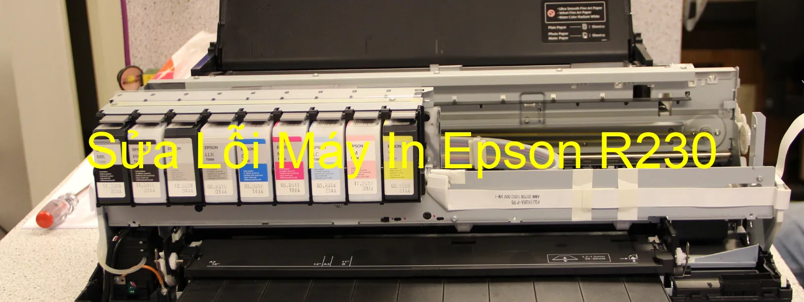 Sửa Lỗi Máy In Epson R230