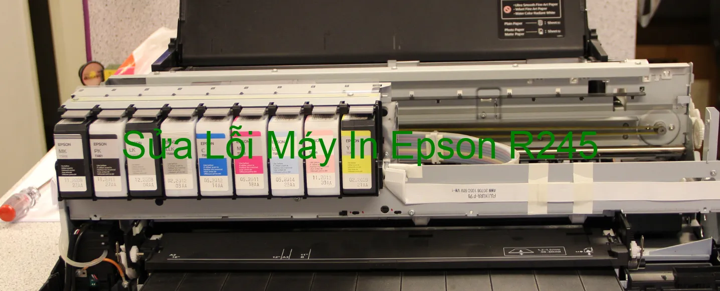 Sửa Lỗi Máy In Epson R245