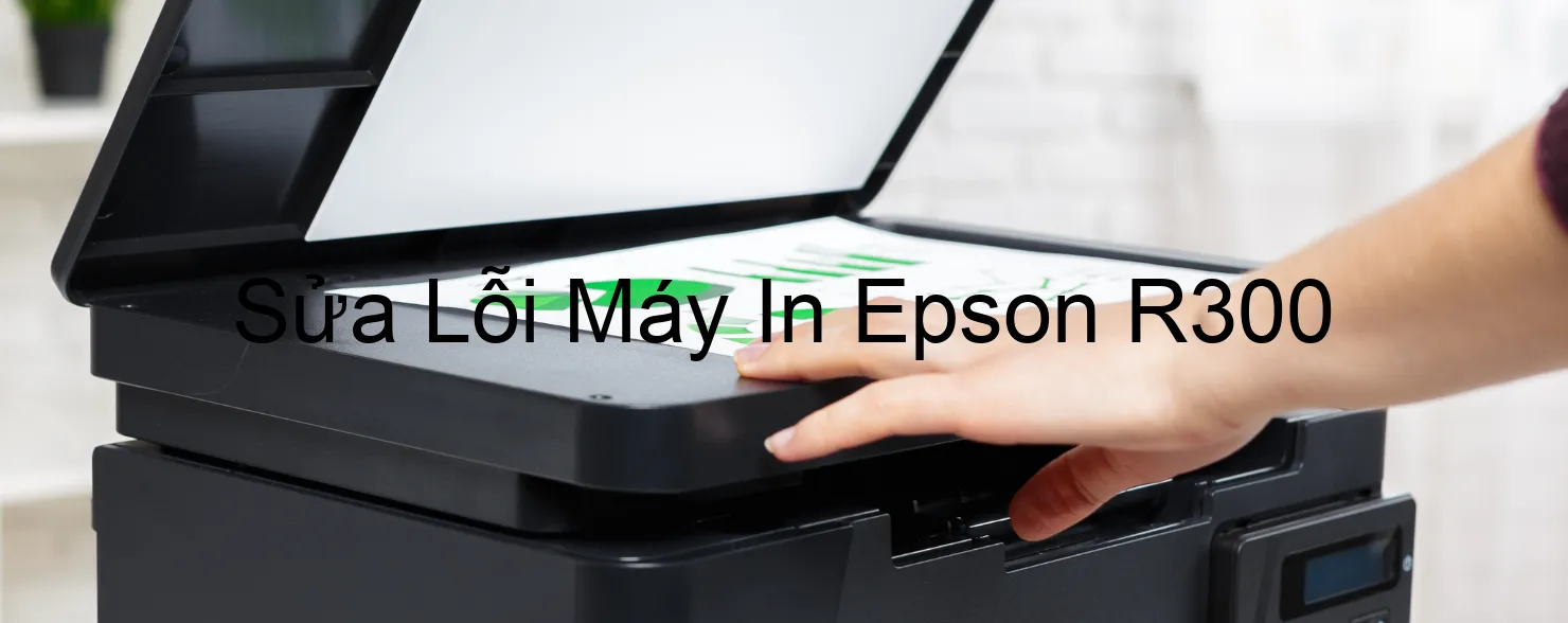 Sửa Lỗi Máy In Epson R300