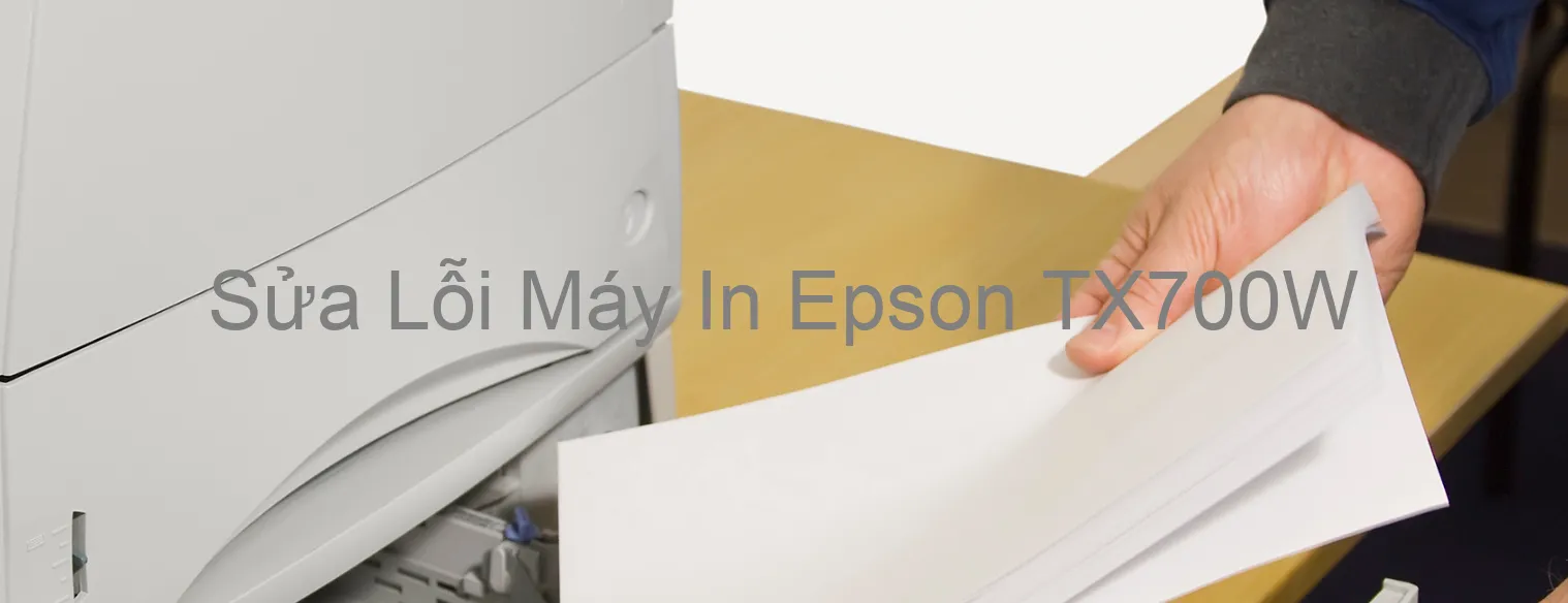 Sửa Lỗi Máy In Epson TX700W