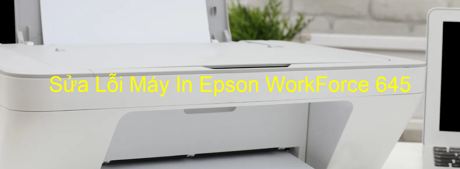 Sửa Lỗi Máy In Epson WorkForce 645