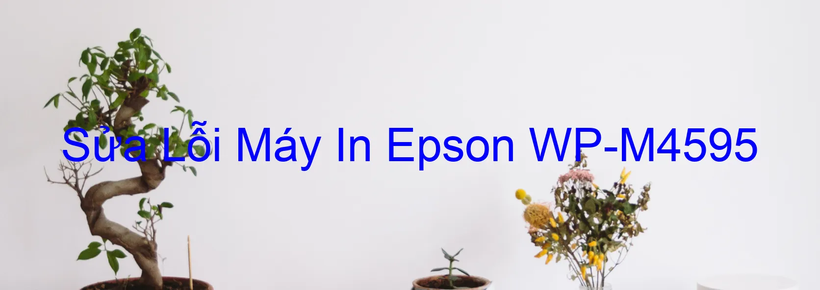 Sửa Lỗi Máy In Epson WP-M4595