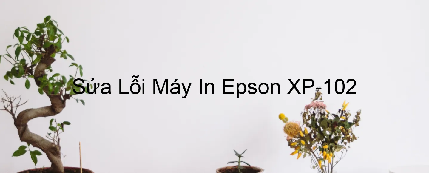 Sửa Lỗi Máy In Epson XP-102